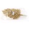 12-Pack: 17&#x22; Sparkling Gold Glitter Ash Spray Picks, Festive Holiday Accents, Trees, Wreaths, &#x26; Garlands, Parties &#x26; Events, Home &#x26; Office Decor